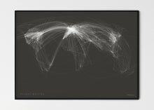 Lade das Bild in den Galerie-Viewer, FLIGHT ROUTES
