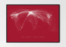 Lade das Bild in den Galerie-Viewer, FLIGHT ROUTES
